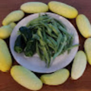 Meet your Posher, Nina